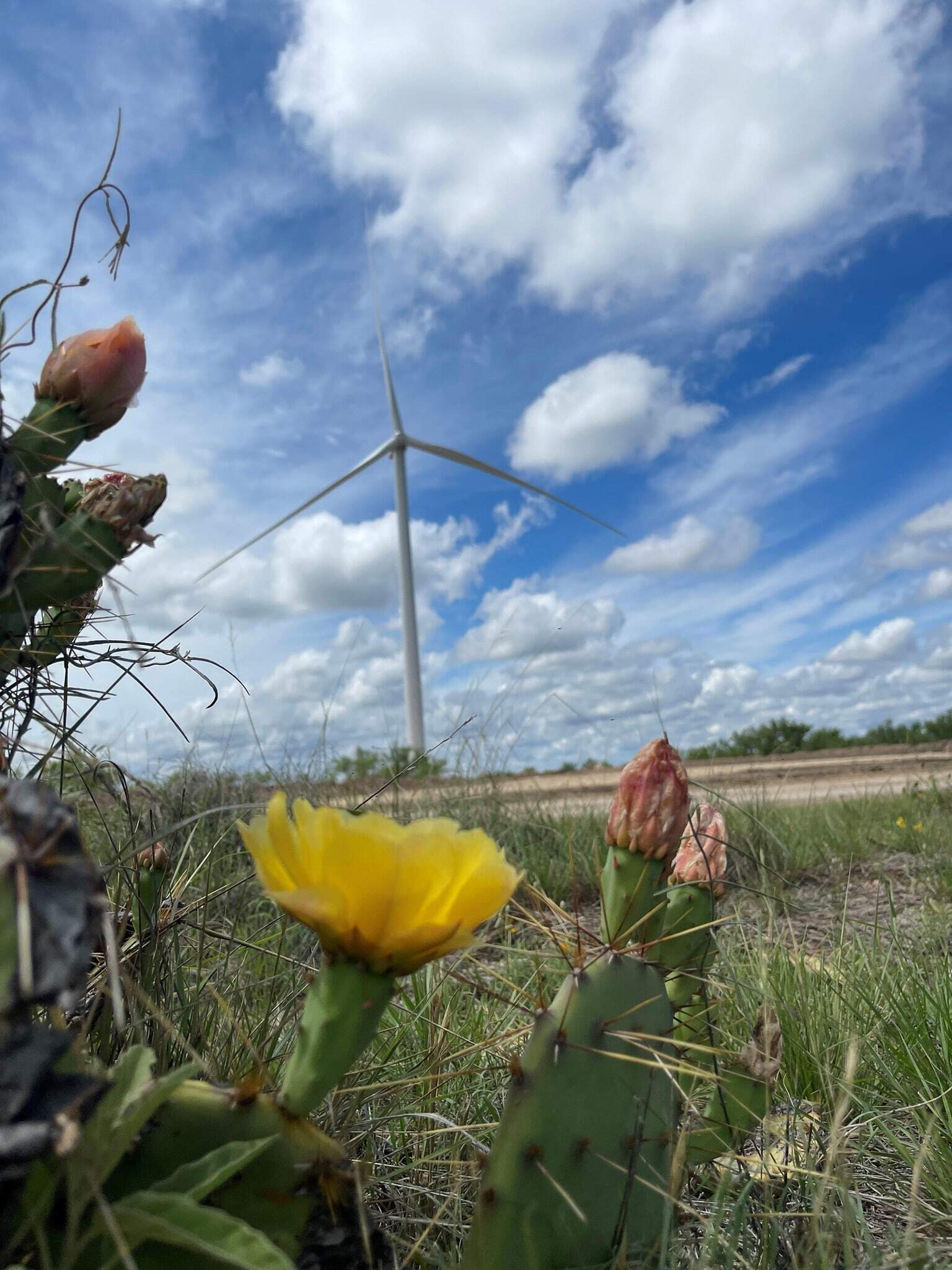 Crockett County (Texas) Wind